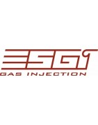 Esgi