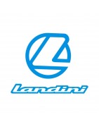 LANDINI